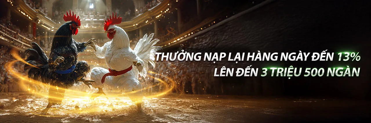 Đá gà trực tuyến i9bet41